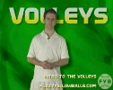 Introduction to the Volley